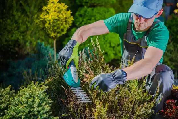 landscaping services East Grand Rapids